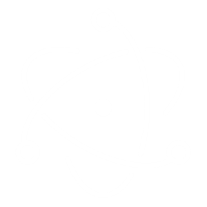 SYSTEM SLAVE