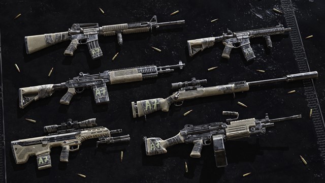 Insurgency: Sandstorm - Worn Veteran Weapon Skin Set screenshot 2