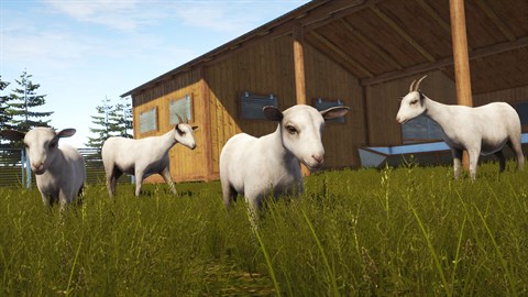 Pure Farming 2018 - Goats