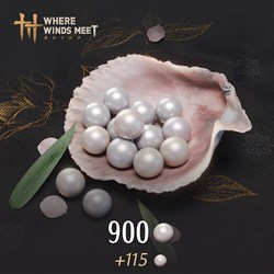 Where Winds Meet-900 Echo Beads
