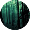 Black Forest Wallpaper New Tab icon