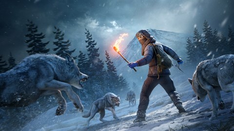 DayZ Frostline