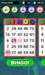 Bingo screenshot 4