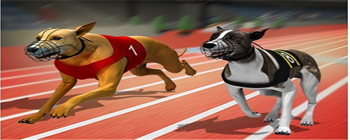 Racing Dog Simulator marquee promo image