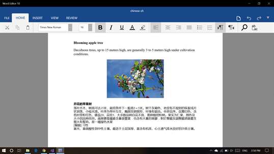  Word  Editor  Doc Docx for Windows 10 PC Free Download 