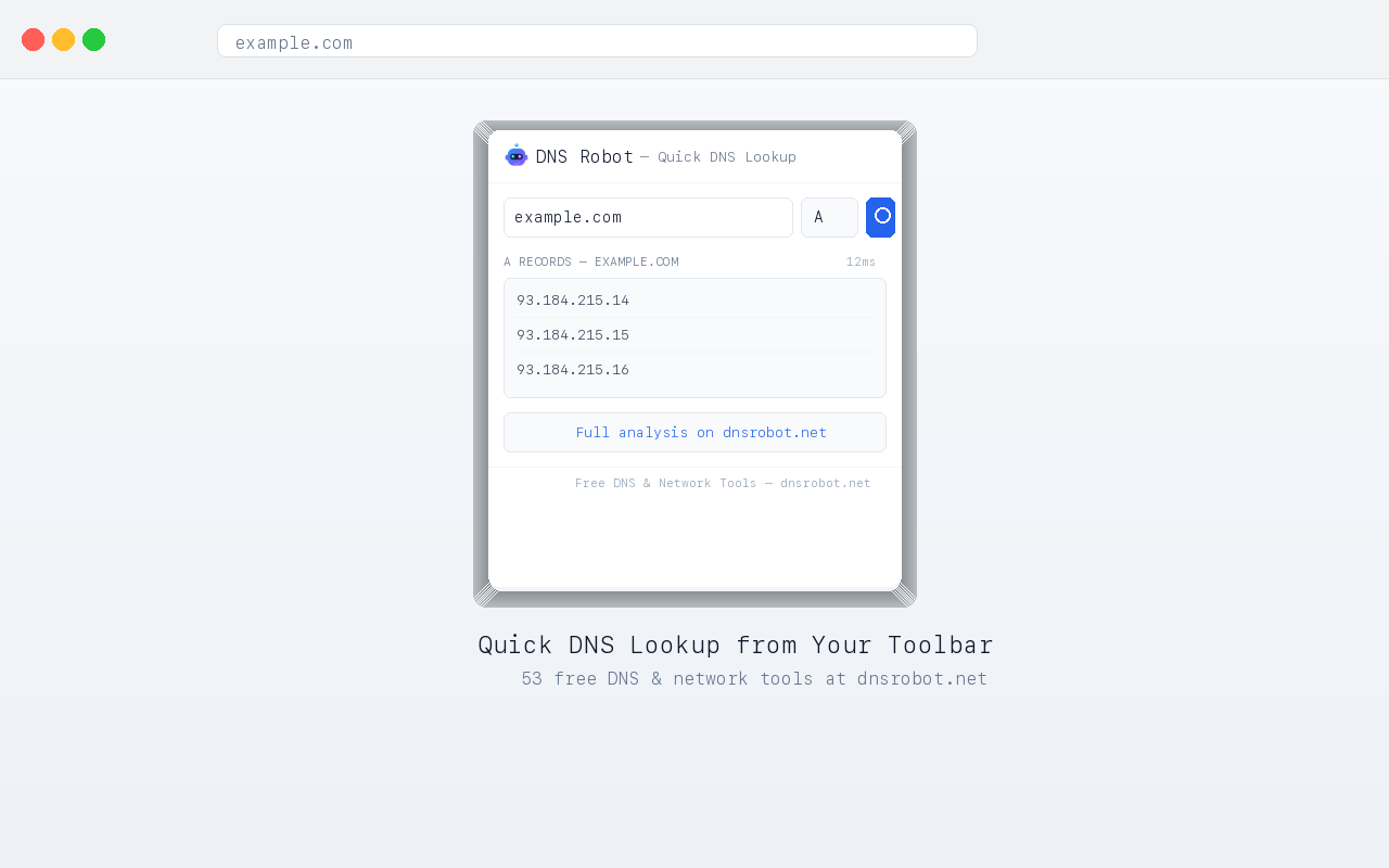 DNS Robot - DNS Lookup Tool