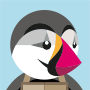 PrestaShop Performance Template icon