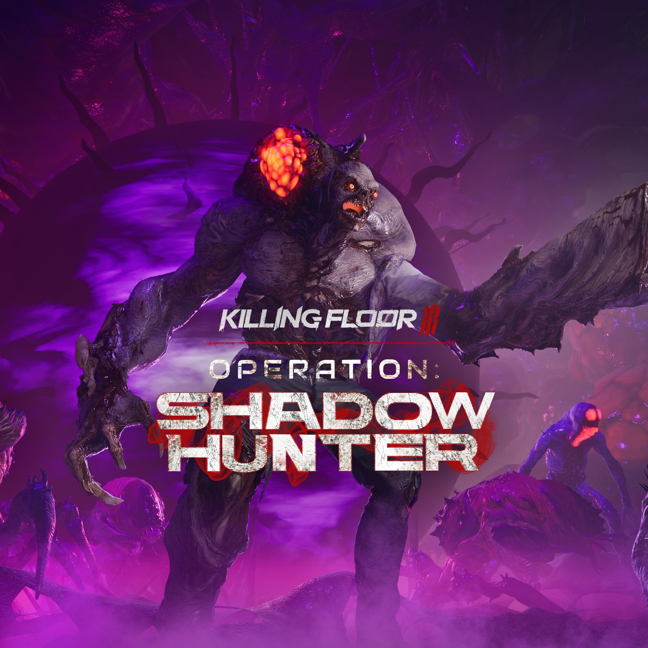 Killing Floor 3