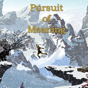 Pursuit of Meaning