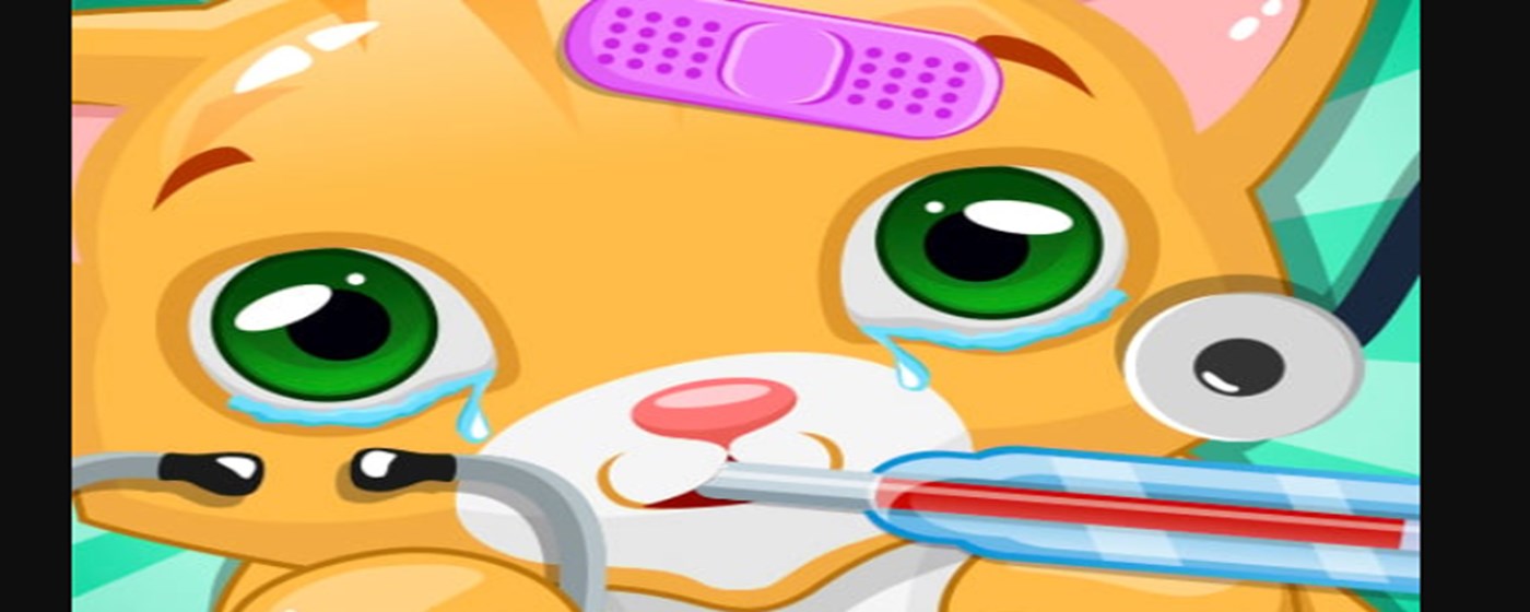 Little Cat Doctor Game marquee promo image