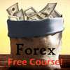 Forex trading course - currency exchange investor guide