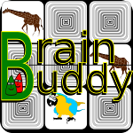 Brain Buddy