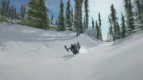 Sledders