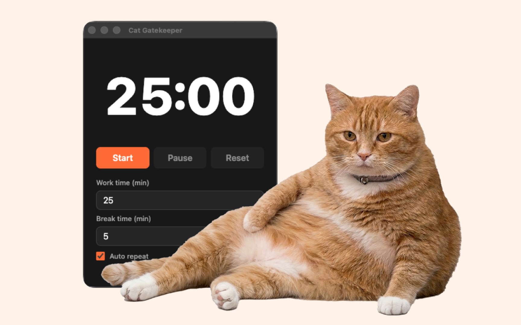 Cat Gatekeeper : téléchargement et installation gratuits sous Windows |  Microsoft Store