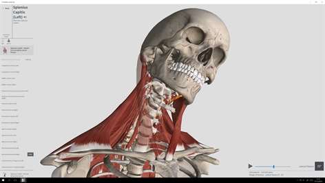 Complete Anatomy Screenshot
