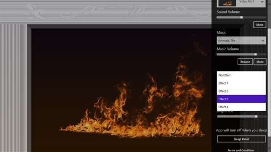 Fireplace Master Collection screenshot 6