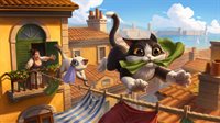 Pawbay: Cozy Strays