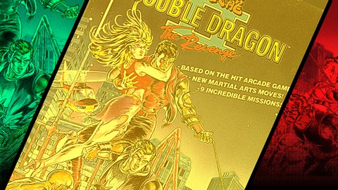 Double Dragon II: The Revenge Review (NES)