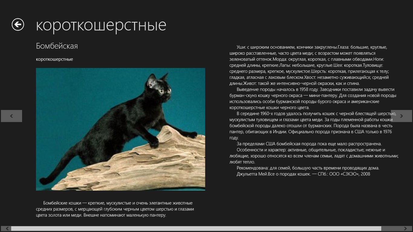 Черная кошка содержание. Бомбейская кошка описание породы. Породы кошек черного цвета. Кошка чёрного окраса характер. Атлас пород кошек.