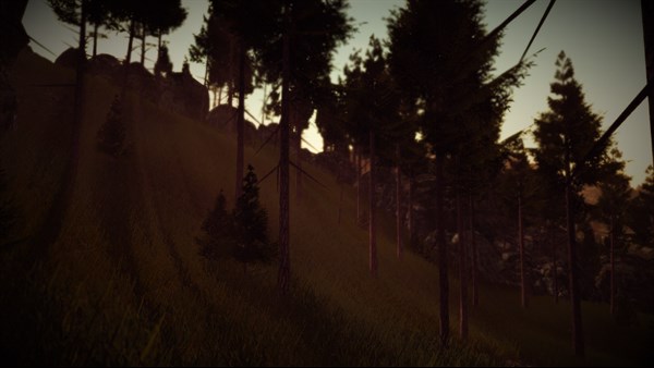 Slender: The Arrival (2015) — 7