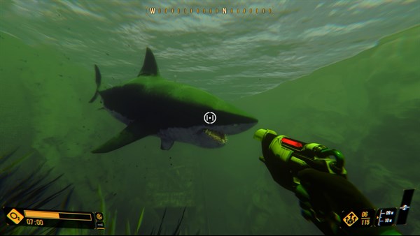 Deep Diving Adventures — 5