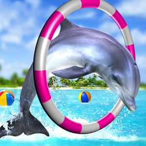 Circus Dolphin Show