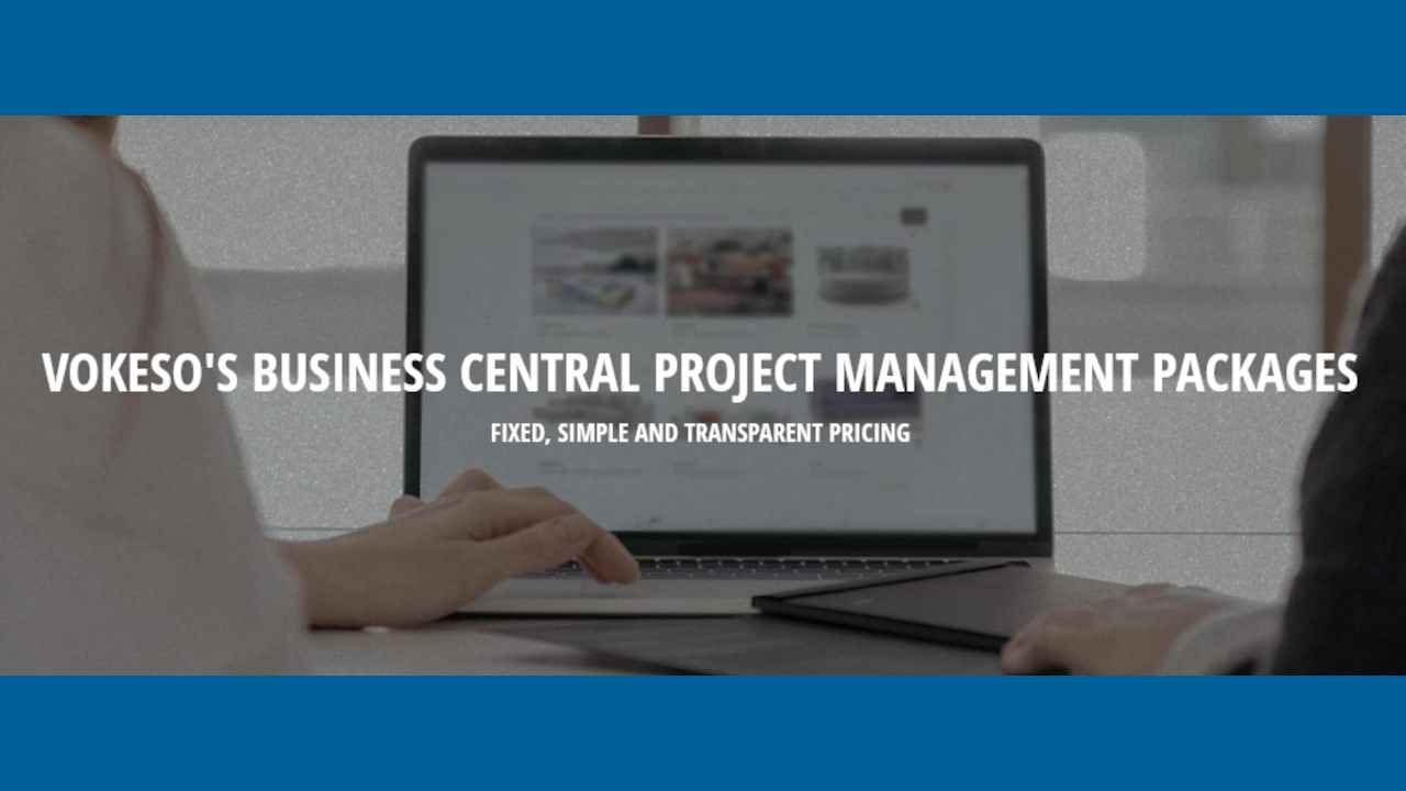 Snapshot 1 of Project Management Standard Implementation