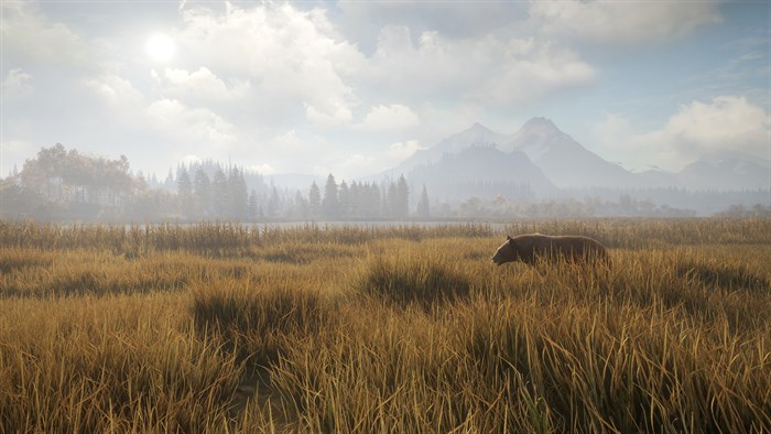 theHunter: Call of the Wild™ — скриншот 20