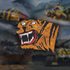 War Thunder - Year of the Tiger Bundle