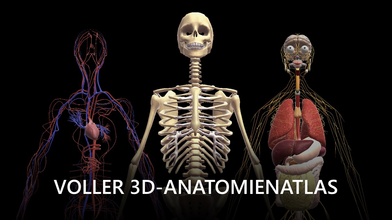 Korper Vom Menschen Anatomie Und Anatomisches Lexikon Lernen Alle Systeme Und Muskulatur Beziehen Microsoft Store De De