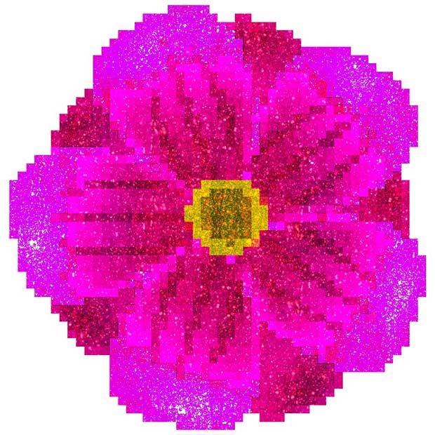 Flowers Glitter Color By Number: Pixel Art, Sandbox Coloring