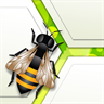 Bienen-App
