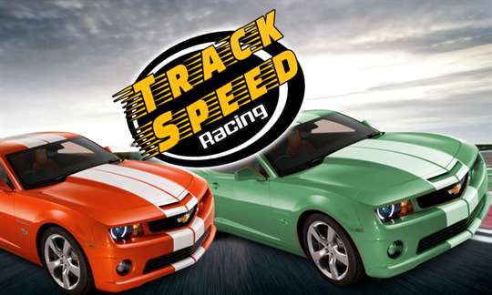 Track Speed Racing VR screenshot 1