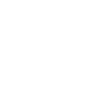 DS video