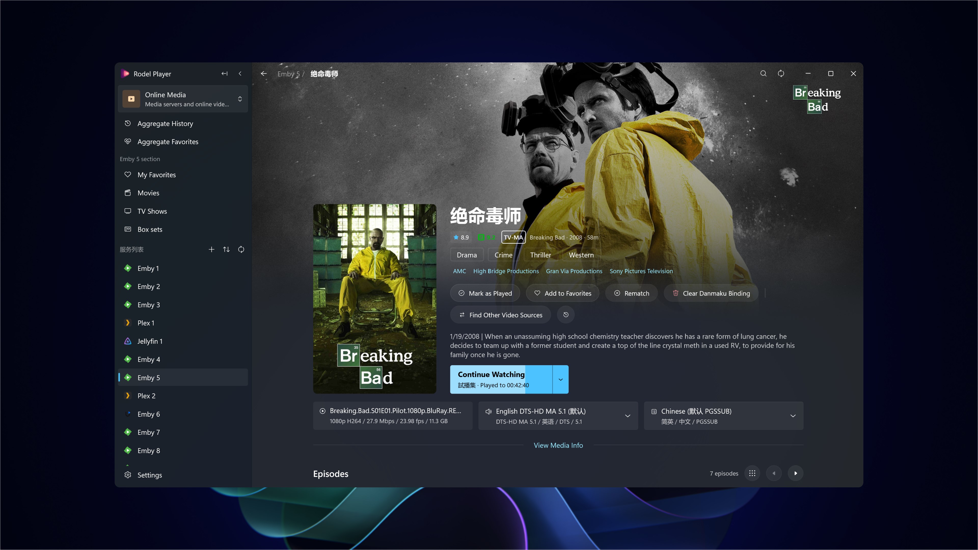 Rodel Player screenshot