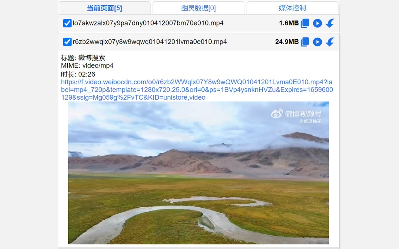 专业视频下载神器