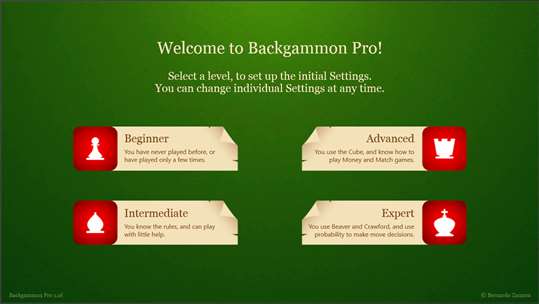 Backgammon Pro screenshot 8