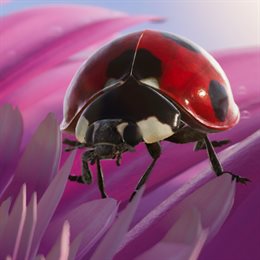Aperçu Insects: Une Expérience Xbox One X Enhanced