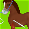Horse Surgery Games