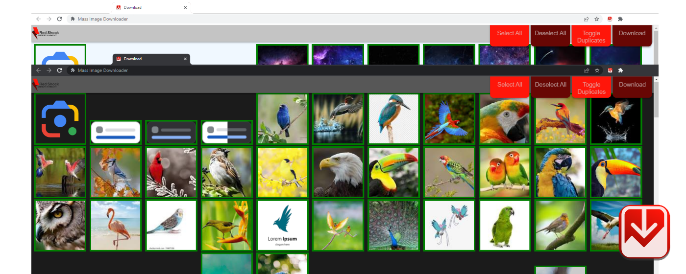 Mass Image Downloader