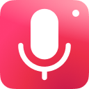 Web Audio Recorder - Record Browser Audio to MP3 & WAV icon