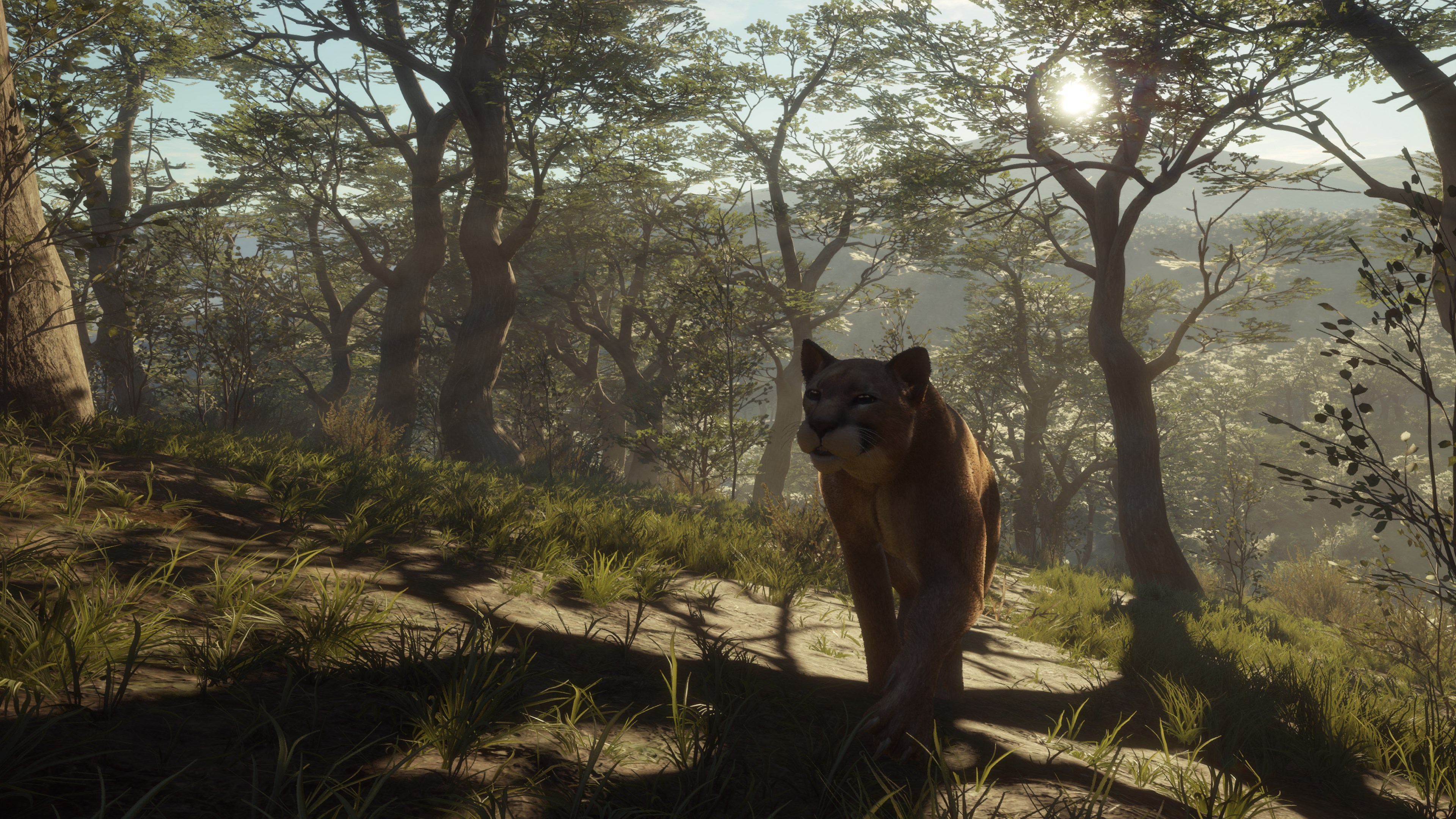 theHunter: Call of the Wild™ - Parque Fernando - Windows 10 | Xbox | Chiave | Privato