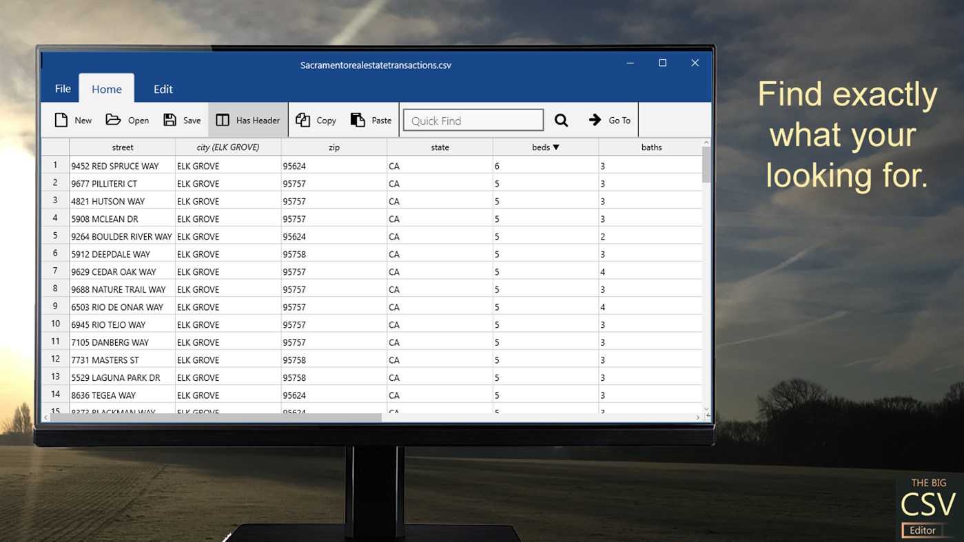 #1. Big CSV Editor (Windows) De: Silicon Foundry