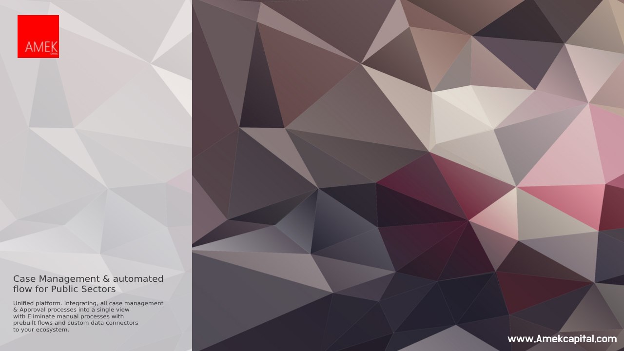 Snapshot 1 of Case Management & automated flow for Public Sectors