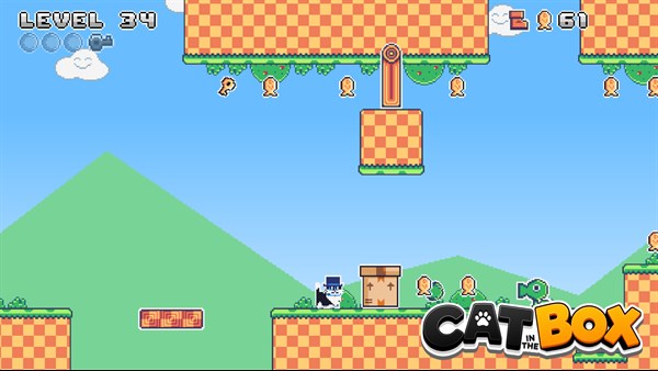 Cat in the Box — 7