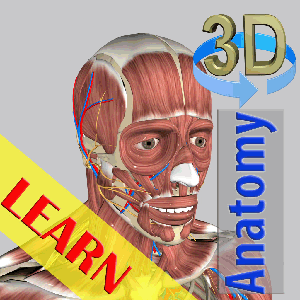 機能解剖学functional anatomy【DVD6枚組】ME316-S 楽天市場】機能解剖学 functional anatomy［理学療法 ME316-S 全