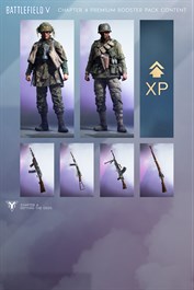 Battlefield V – zawartość superpakietu premiowego Rozdziału IV