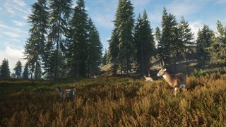 theHunter: Call of the Wild™ screenshot 4