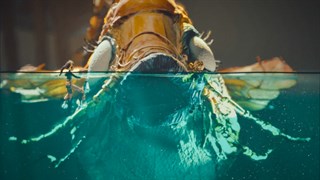 Out of Words screenshot 1