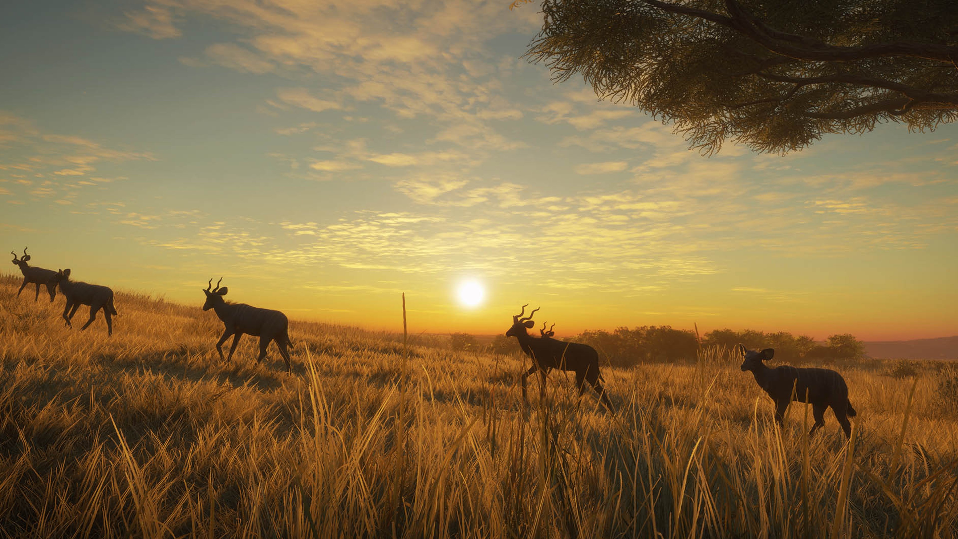 theHunter: Call of the Wild™ - Vurhonga Savanna - Windows 10 | Xbox | Chiave | Privato